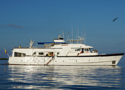 May last minute deals on Galapagos Cruises